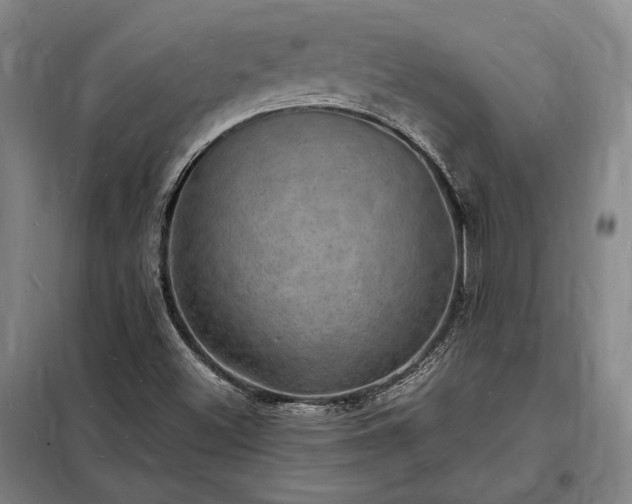 X0000098231500200805011245