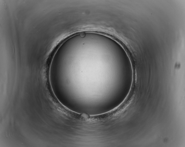X0000098231501200805011245