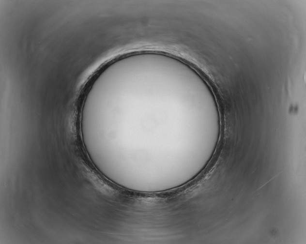 X0000098231502200805011245