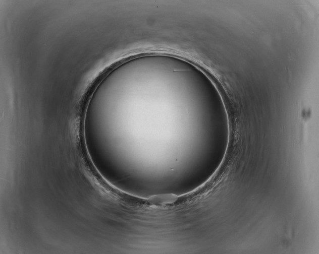 X0000098231503200805011245