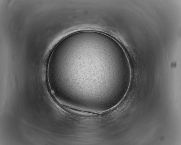 X0000098231504200805011245