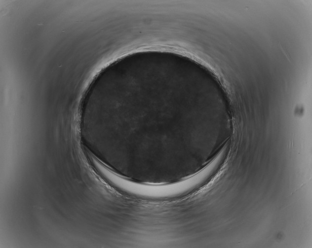 X0000098231506200805011245