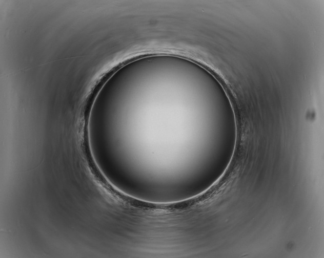 X0000098231507200805011245