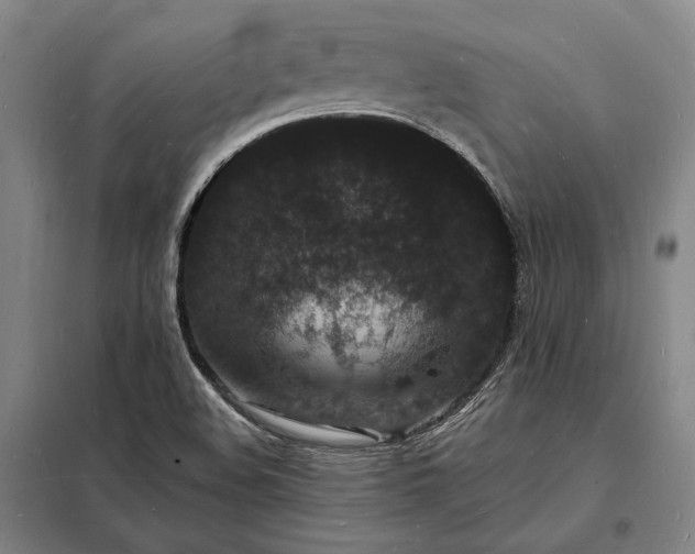 X0000098231508200805011245