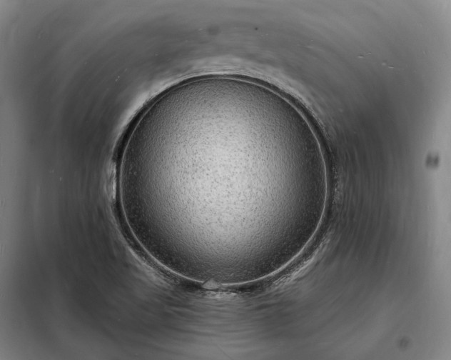 X0000098231509200805011245