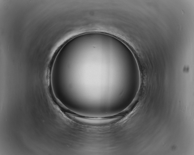 X0000098231510200805011245