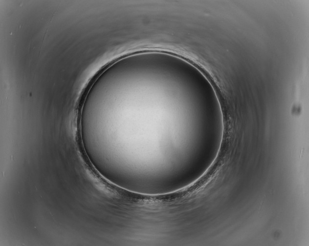 X0000098231511200805011245