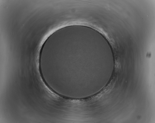 X0000098231512200805011245