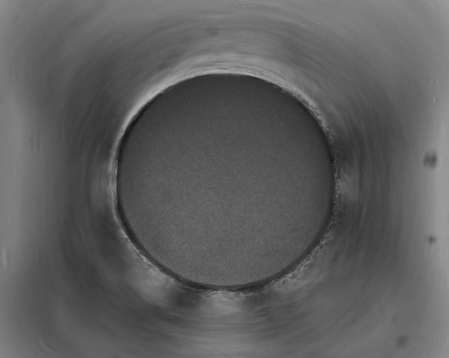 X0000098231514200805011245