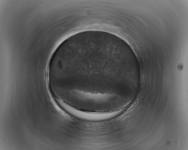 X0000098231515200805011245