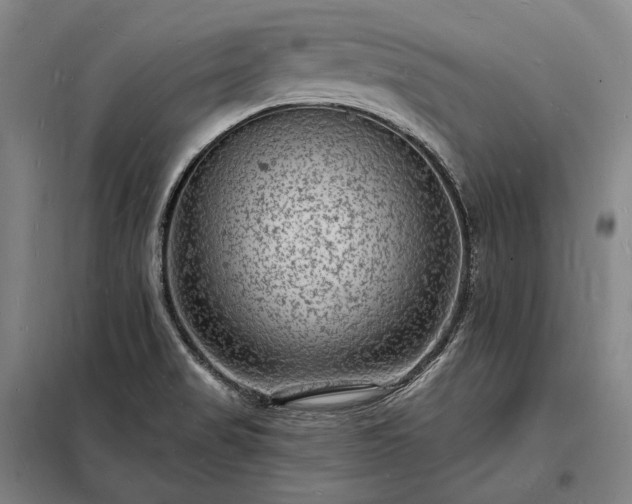 X0000098231517200805011245