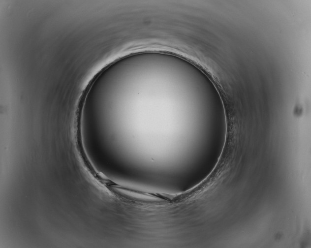 X0000098231518200805011245