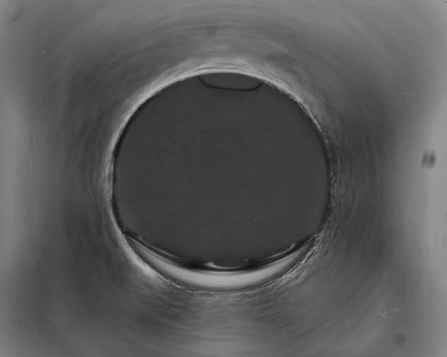 X0000098231519200805011245