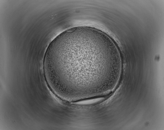X0000098231521200805011245