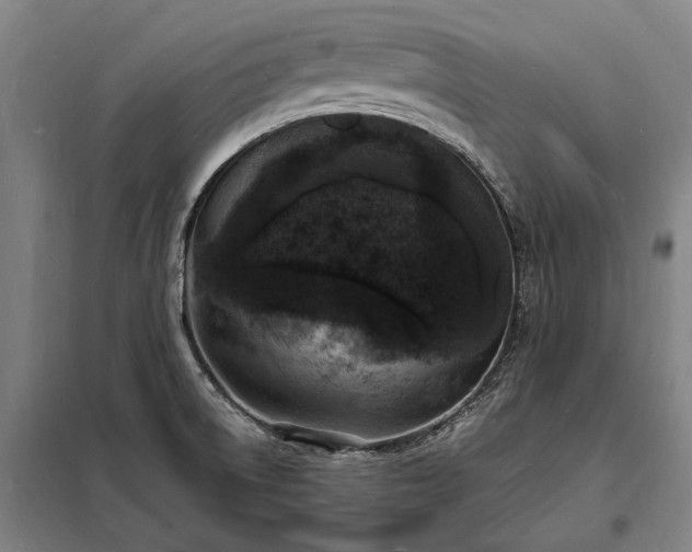 X0000098231522200805011245