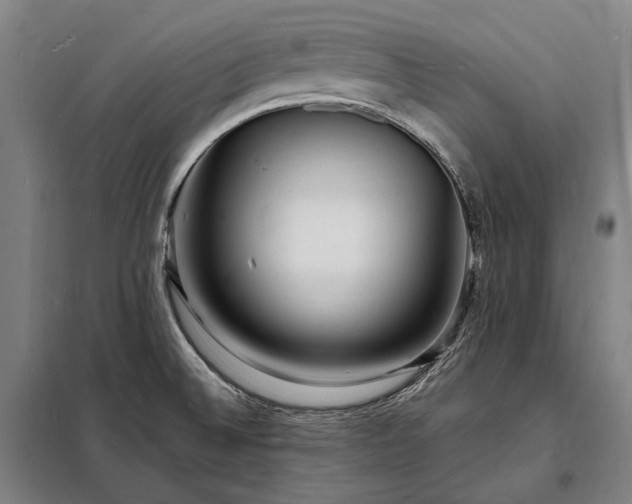 X0000098231524200805011245