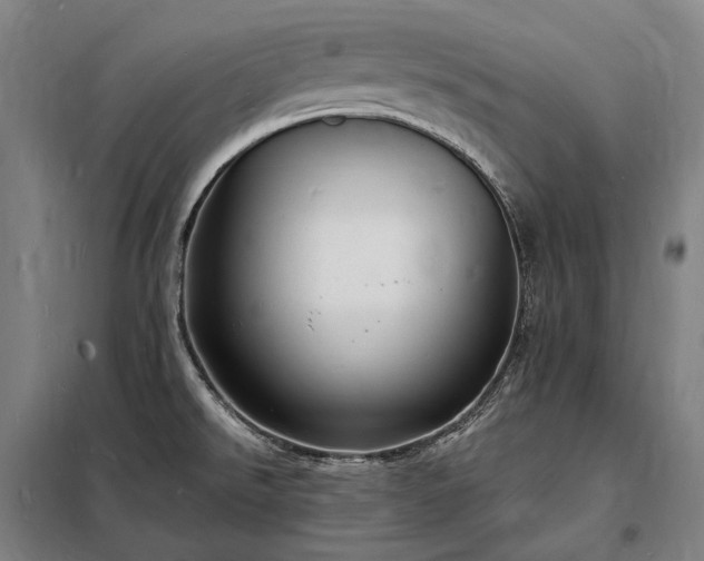 X0000098231526200805011245