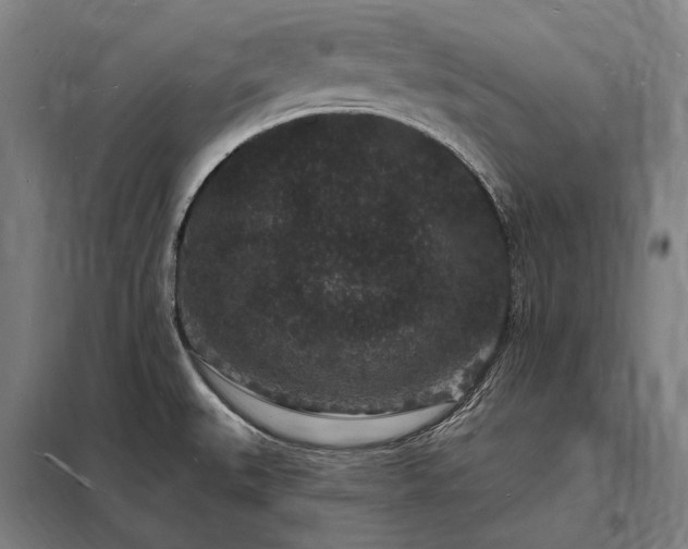X0000098231527200805011246