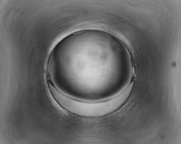X0000098231528200805011246