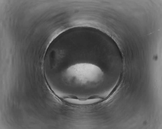 X0000098231529200805011246