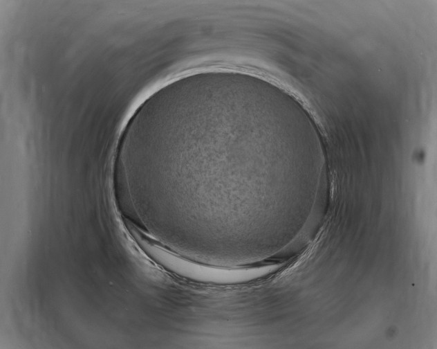 X0000098231530200805011246