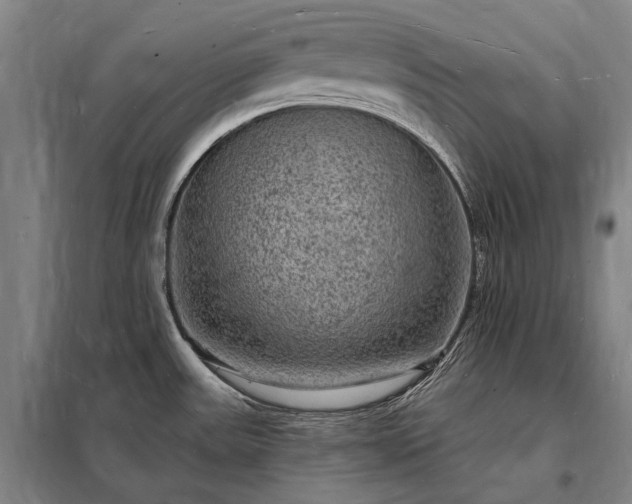 X0000098231531200805011246
