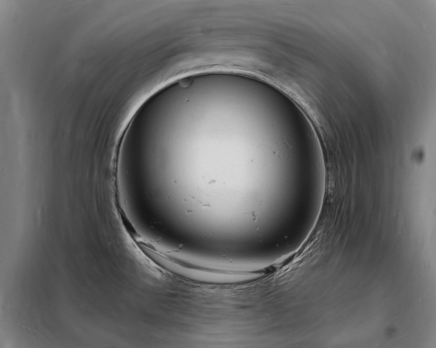 X0000098231532200805011246