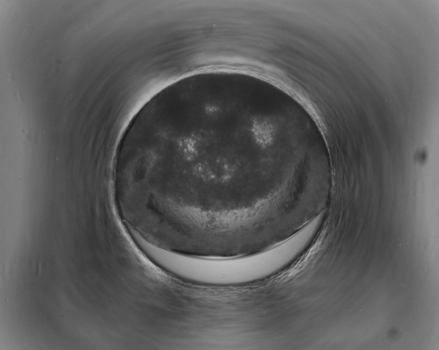 X0000098231533200805011246