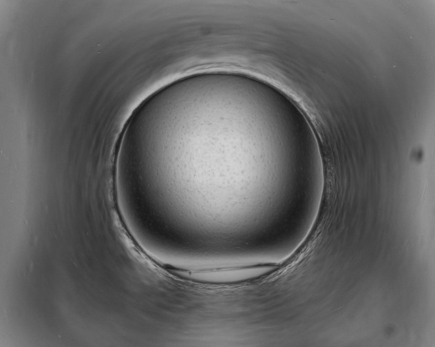 X0000098231534200805011246