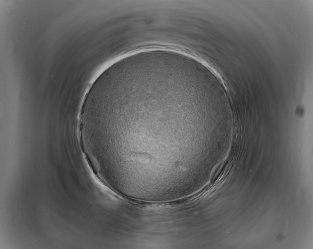 X0000098231535200805011246