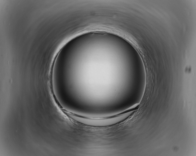 X0000098231536200805011246