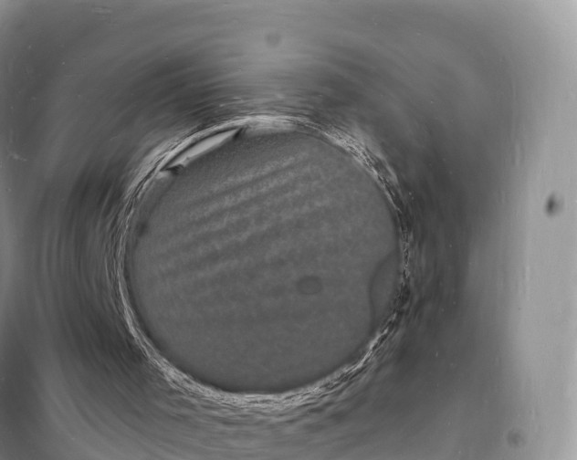 X0000098230001200805081233