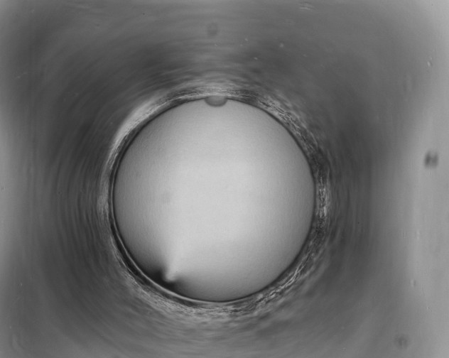 X0000098230004200805081233