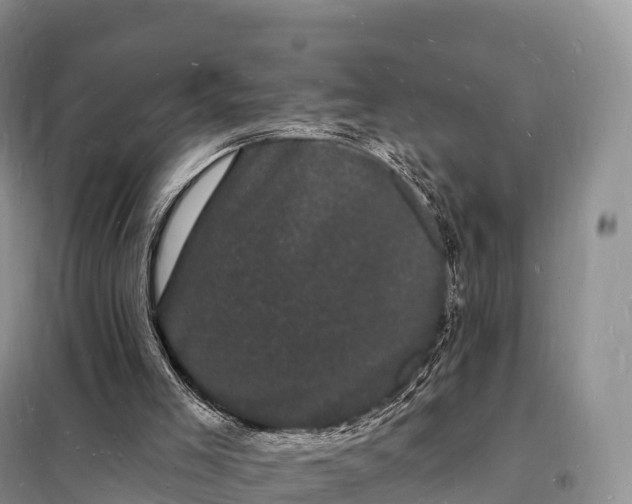 X0000098230005200805081233