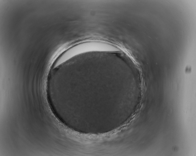 X0000098230007200805081233