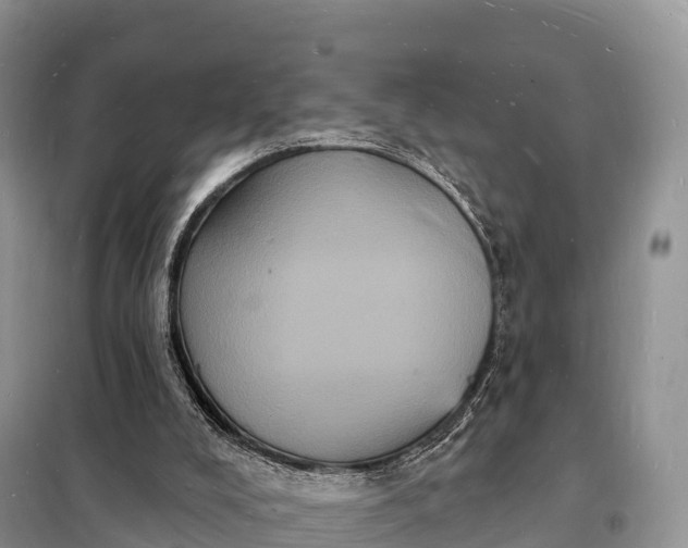 X0000098230008200805081233