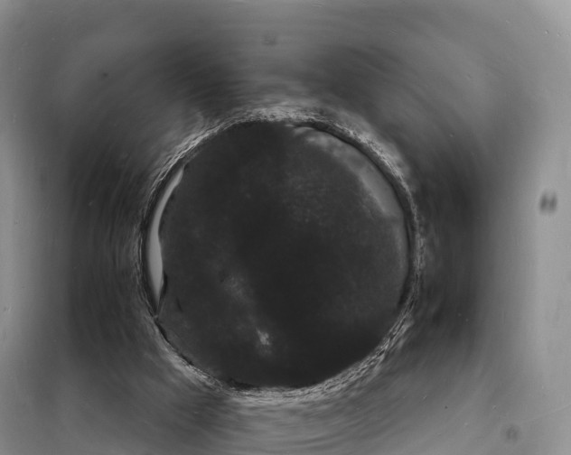 X0000098230009200805081233