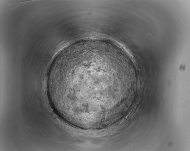 X0000098230010200805081233