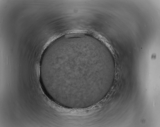 X0000098230011200805081233