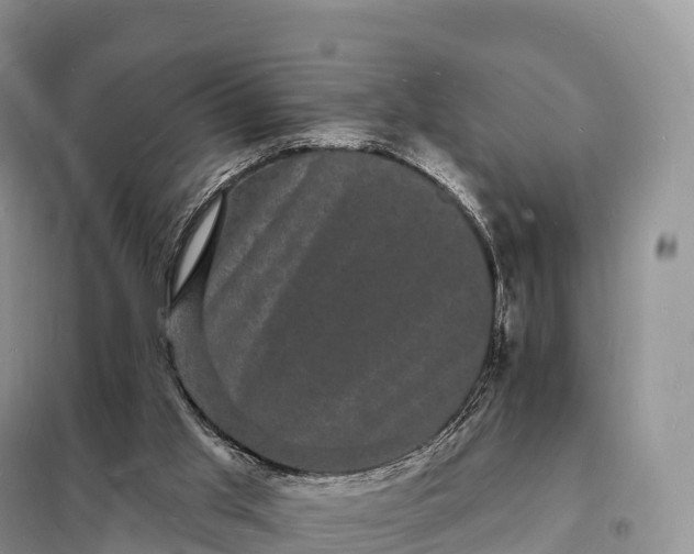 X0000098230013200805081233