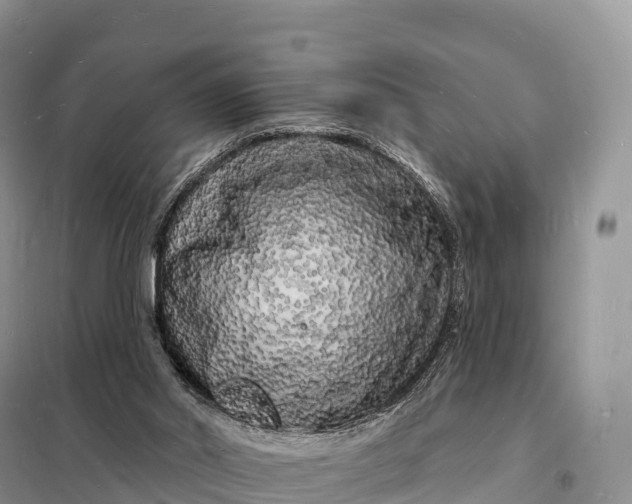 X0000098230014200805081233