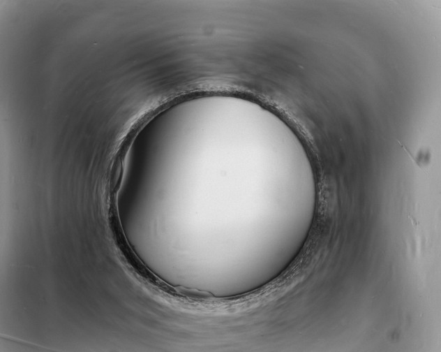 X0000098230015200805081233