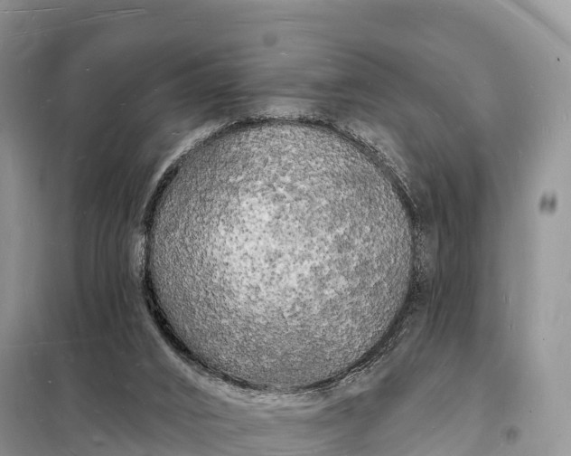 X0000098230016200805081233