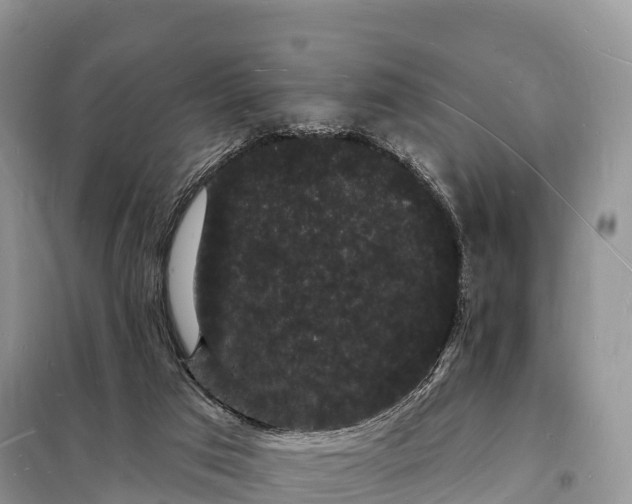 X0000098230017200805081233