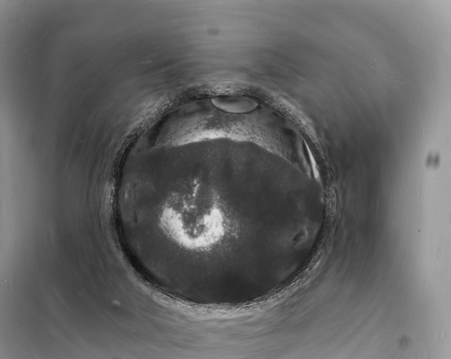 X0000098230018200805081233