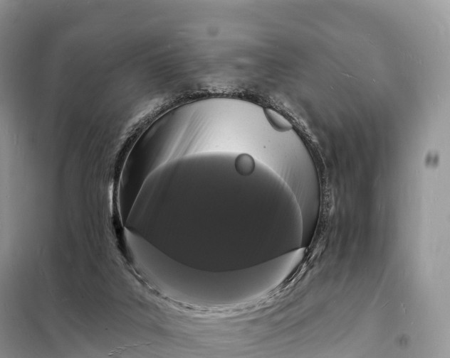 X0000098230019200805081233