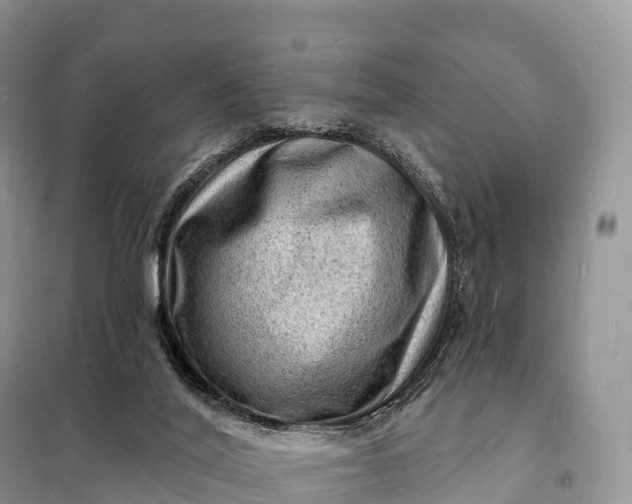 X0000098230020200805081233