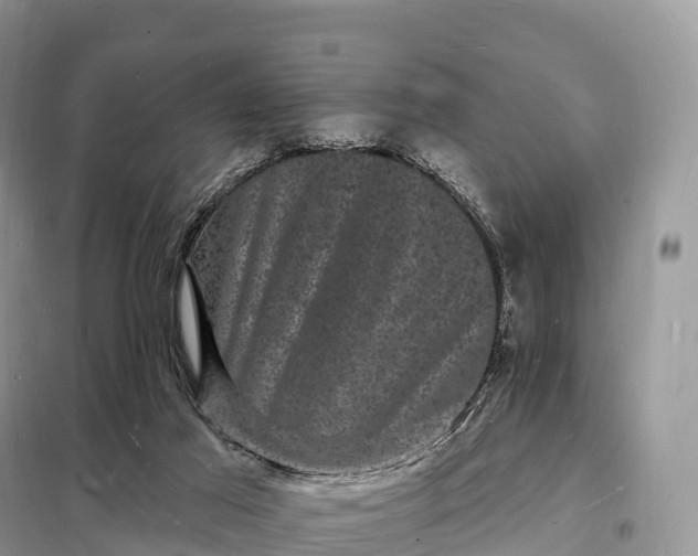 X0000098230021200805081233