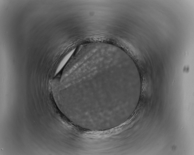 X0000098230025200805081232