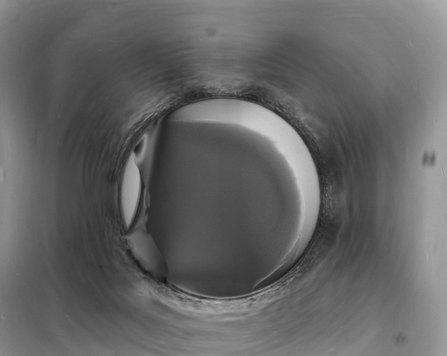 X0000098230027200805081232